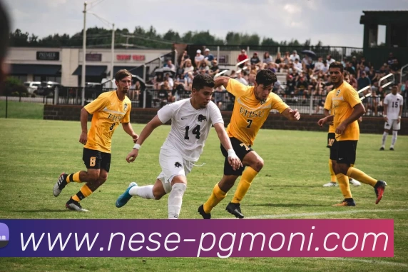 pg模拟器在线试玩品牌故事